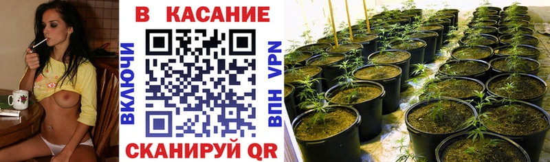 Где купить наркоту Дегтярск Бошки Шишки A PVP МЕФ