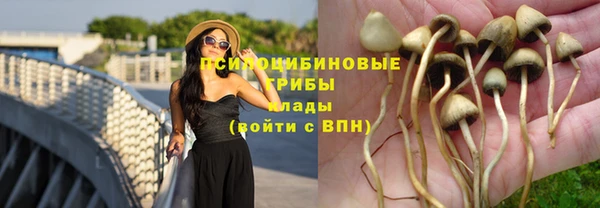 прущие крисы Алзамай