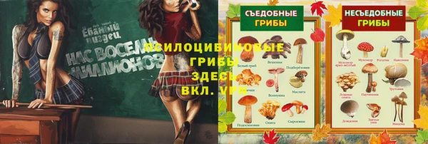 синтетический гашиш Алексин