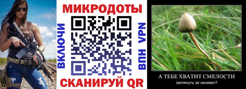 Псилоцибиновые грибы GOLDEN TEACHER  Дегтярск 